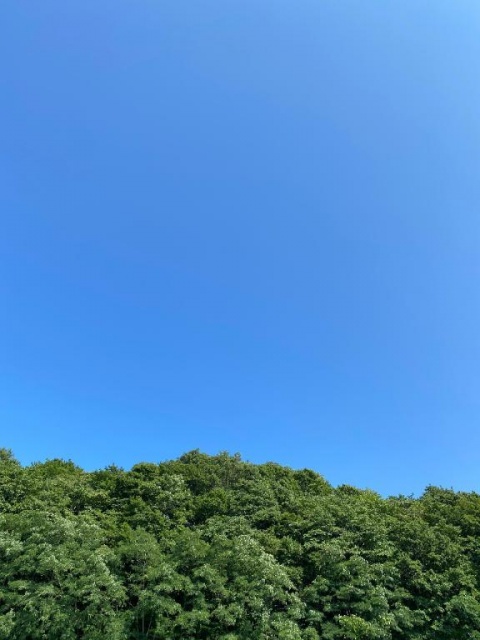 りおのブログ写真