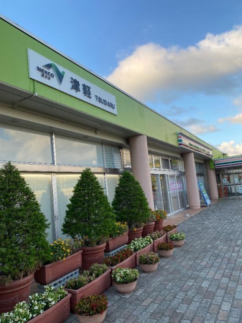 りおのブログ写真