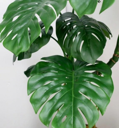 りおのブログ写真