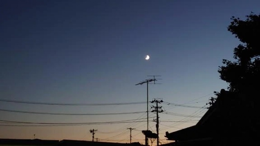 ちさのブログ写真