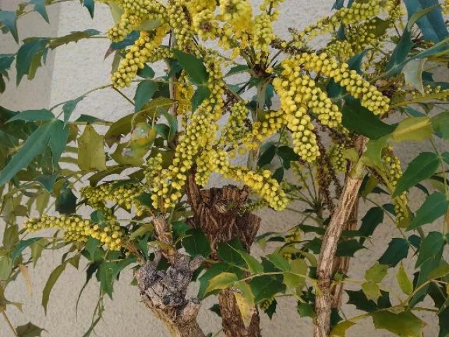 ちさのブログ写真