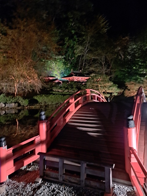 ちひろ(沿岸)(即OK)のブログ写真