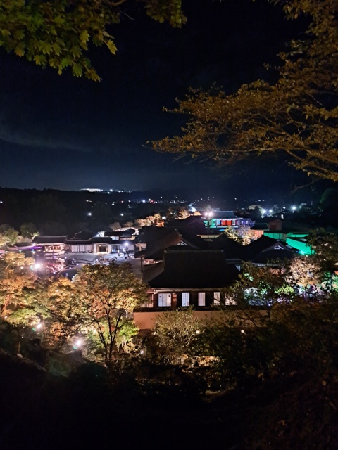 ちひろ(沿岸)(即OK)のブログ写真