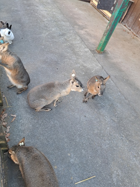 ちひろ(沿岸)(即OK)のブログ写真