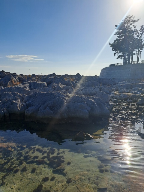 ちひろ(沿岸)(即OK)のブログ写真