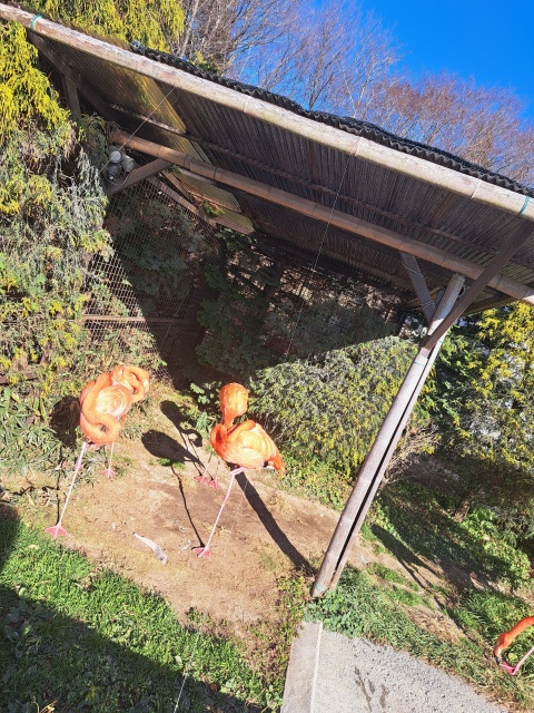 ちひろ(沿岸)(即OK)のブログ写真