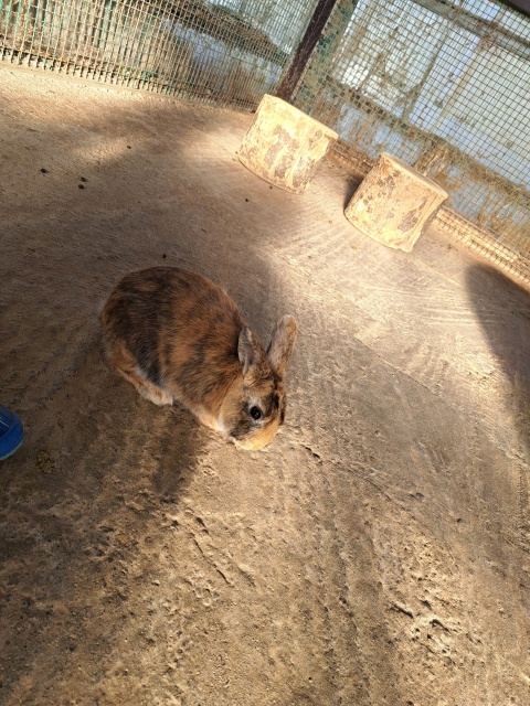 ちひろ(沿岸)(即OK)のブログ写真