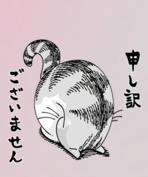 (盛)体験仲田ひろかのブログ写真