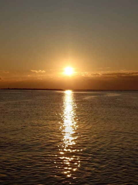 (盛)仲田ひろかのブログ写真