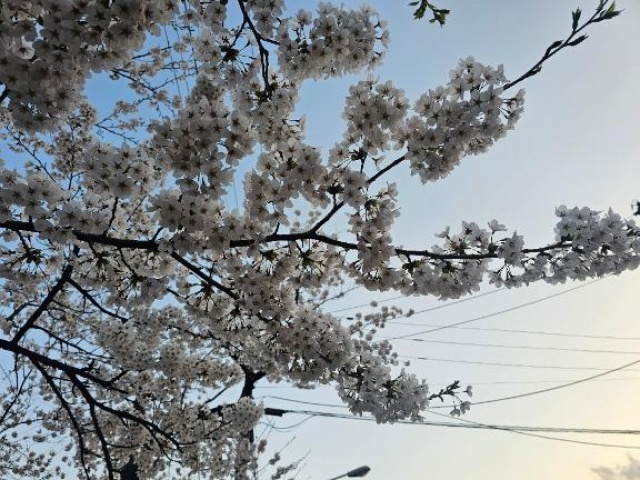 (盛)仲田ひろかのブログ写真