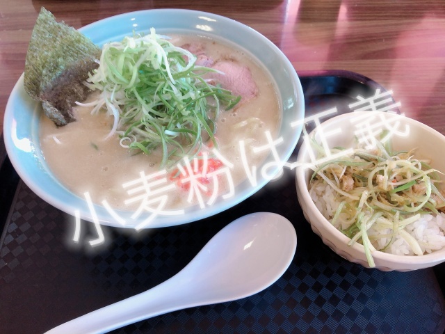 新人もなのブログ写真