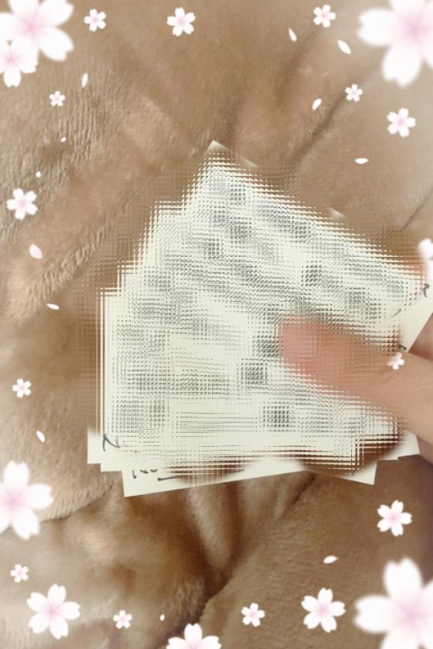 (北)野原あんずのブログ写真