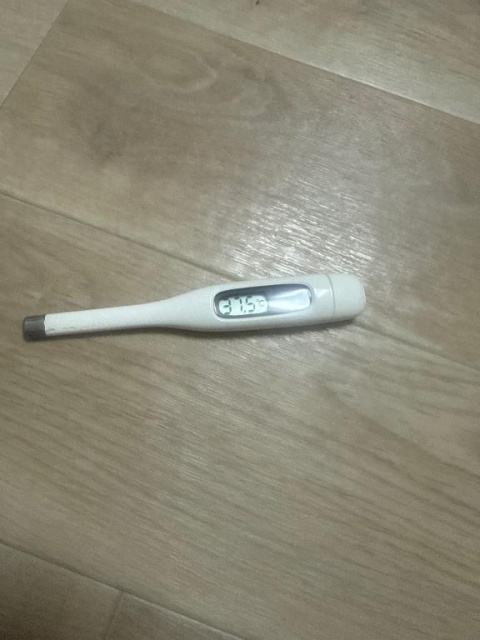 (北)野原あんずのブログ写真