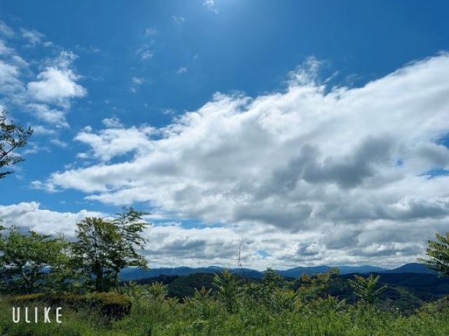 (北)花野のばらのブログ写真