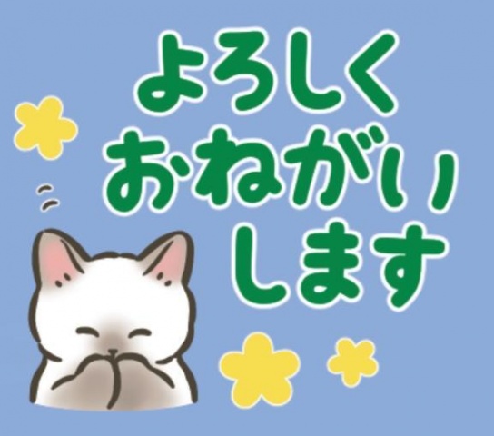 なつめのブログ写真