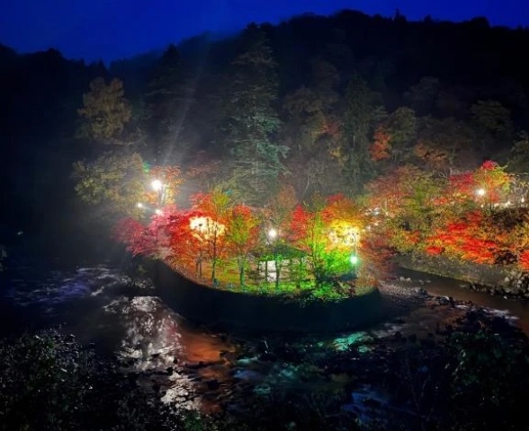 なつめのブログ写真