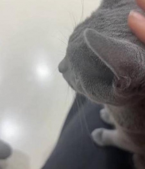 体験フウカ(北上)のブログ写真