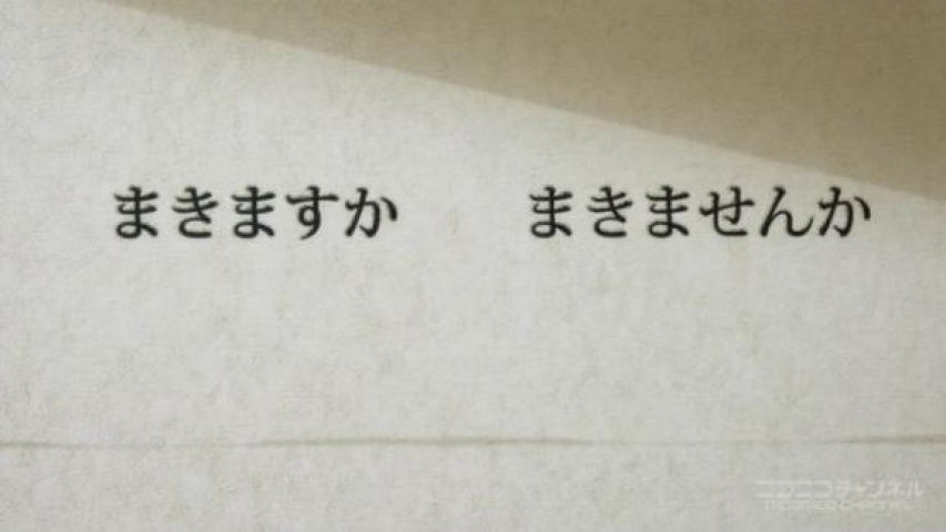 ホムラ(盛岡)のブログ写真