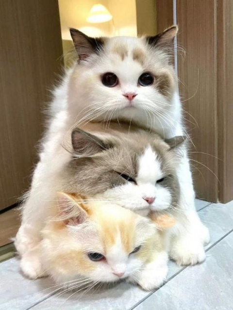 心渚-ここなのブログ写真