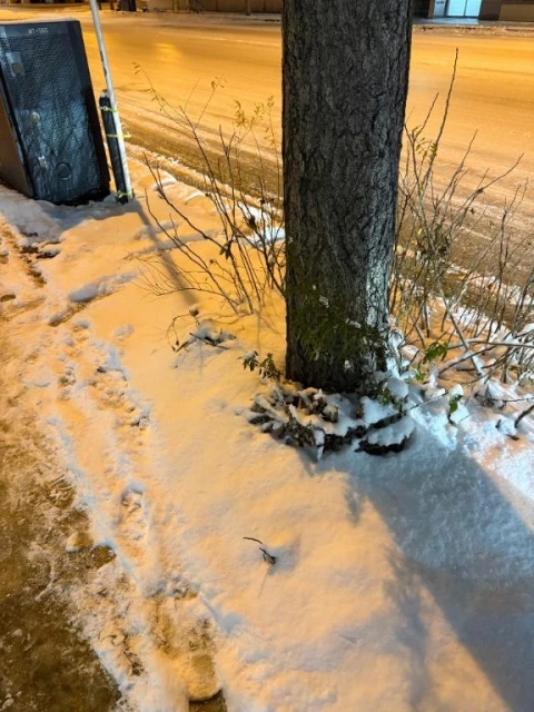 心渚-ここなのブログ写真