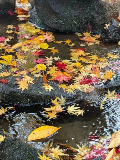 心渚-ここなのブログ写真