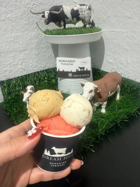 心渚-ここなのブログ写真