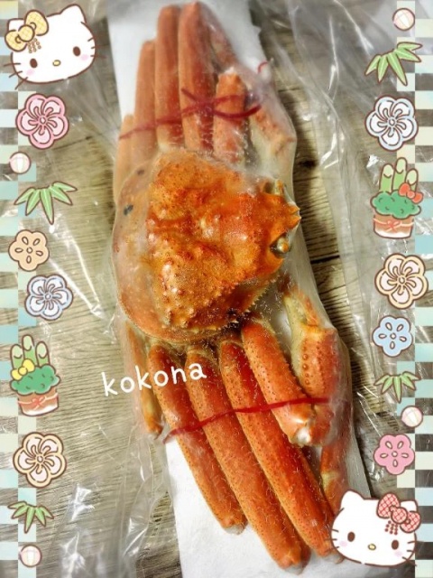 心渚-ここなのブログ写真