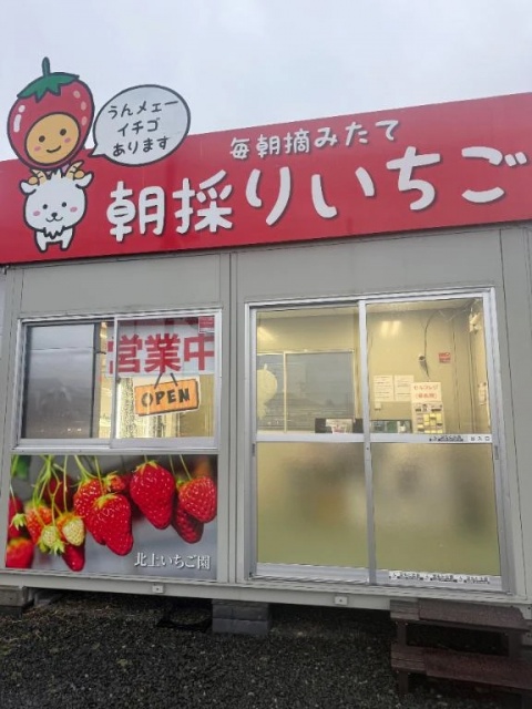 心渚-ここなのブログ写真