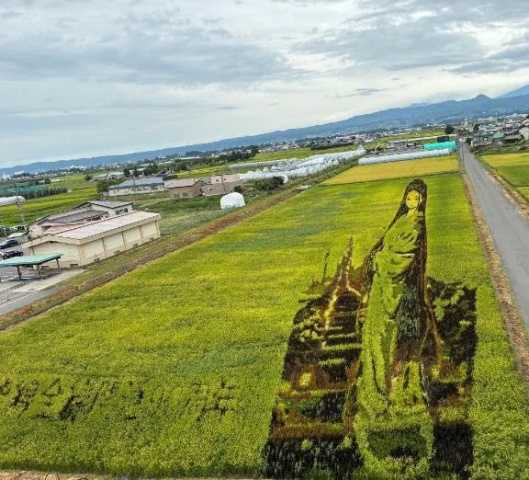 上戸ななみのブログ写真