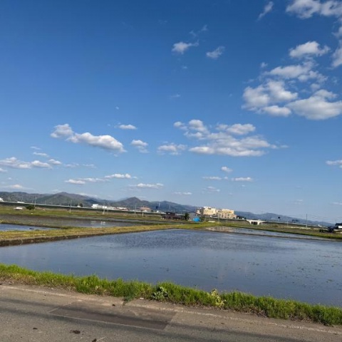 わこのブログ写真