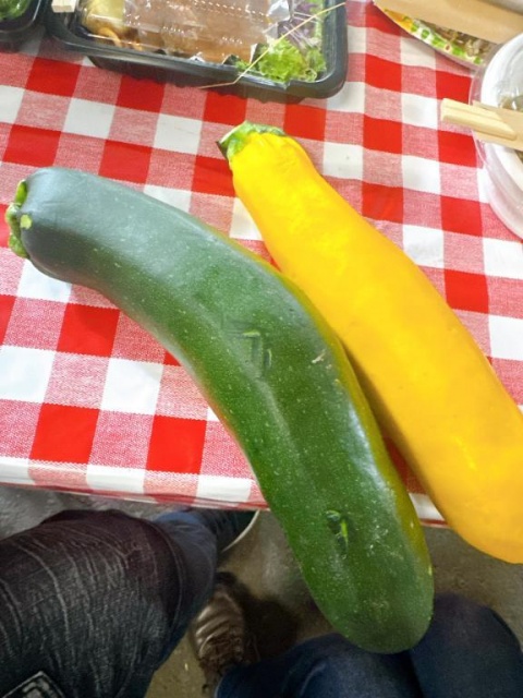 わこのブログ写真