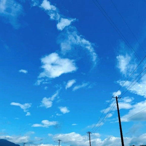 わこのブログ写真