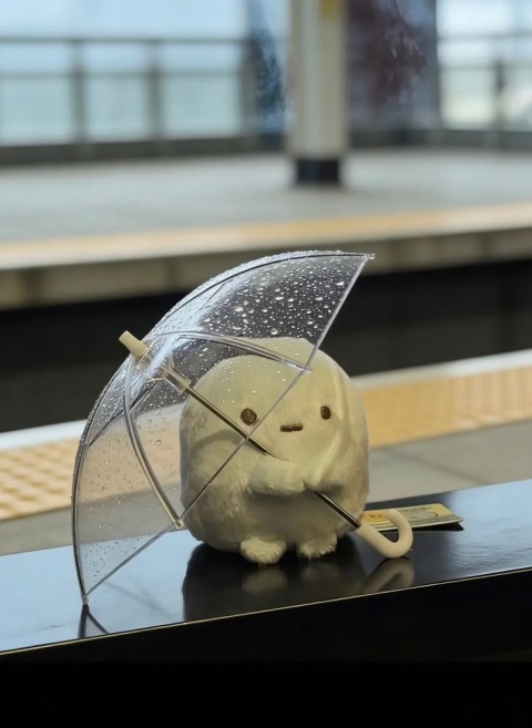 ちかのブログ写真