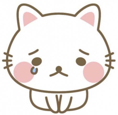 業界初さな【通常コースのブログ写真