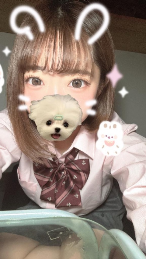 あおい 体験Pのブログ写真