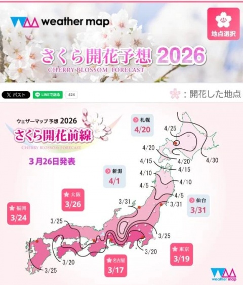 あかりのブログ写真