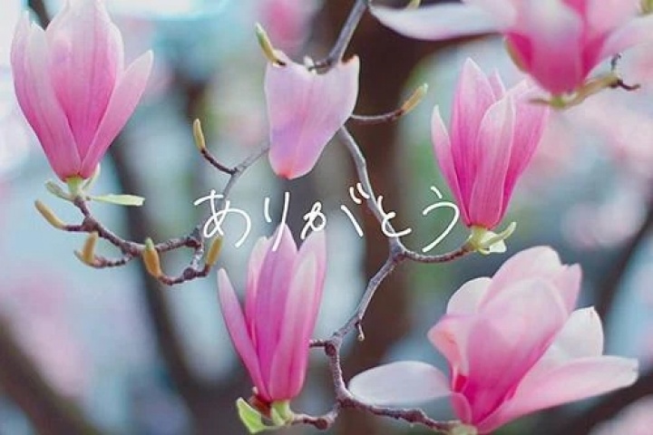 あかりのブログ写真