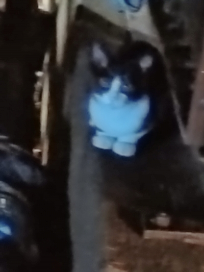 さゆきのブログ写真