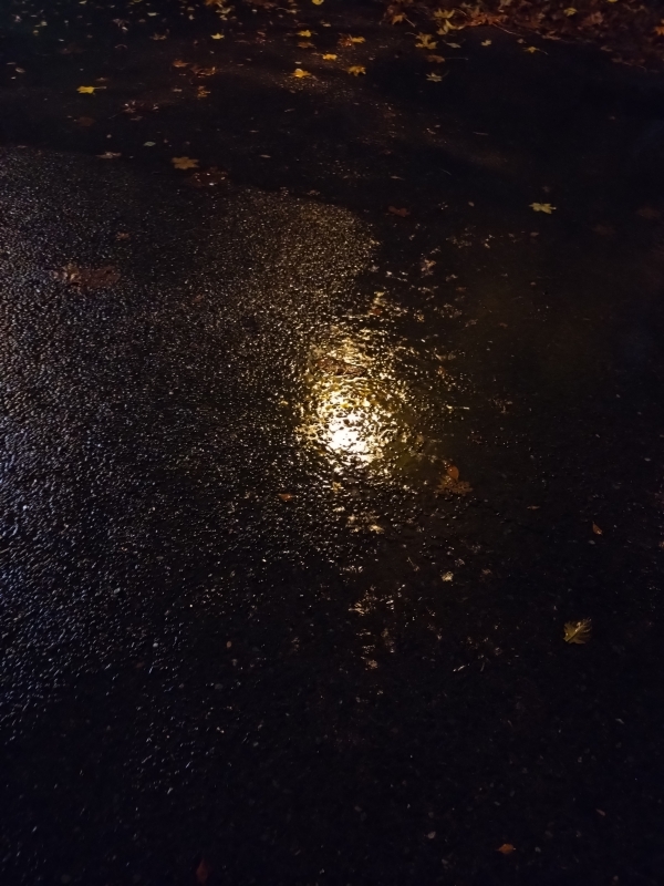 さゆきのブログ写真