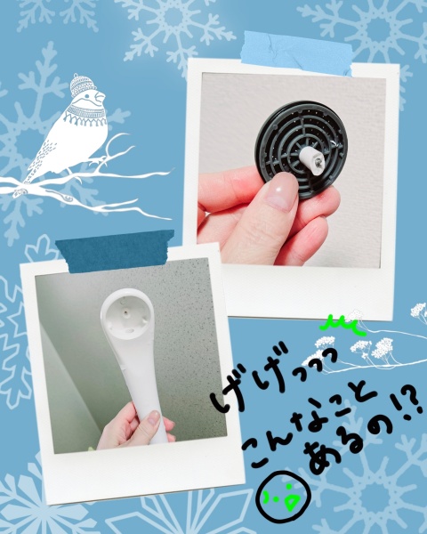 新人とも【通常コース】のブログ写真