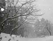 新任教師　るり　【盛岡校のブログ写真