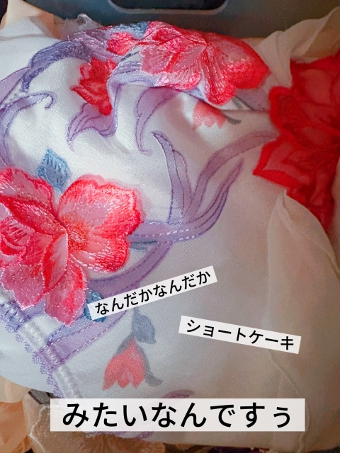 新人マヒロ【HAREMコのブログ写真