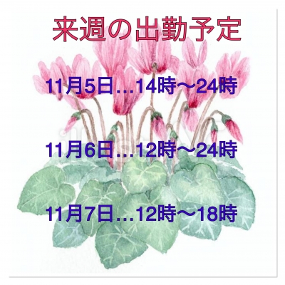 体験ここみ嬢（盛岡　北上のブログ写真