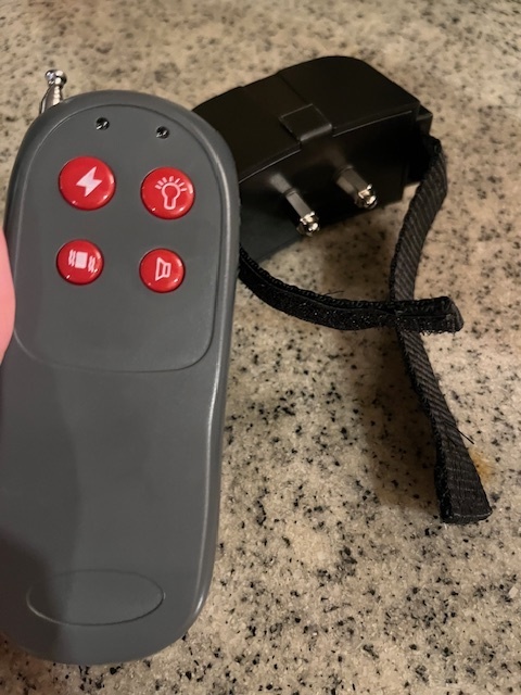 S嬢・阿久津メイサのブログ写真