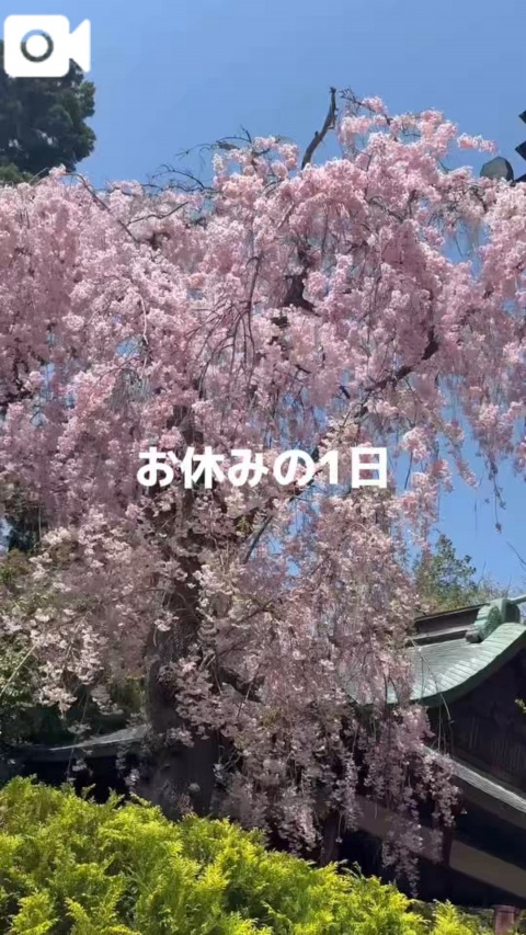 キヨハ(盛岡)のブログ写真