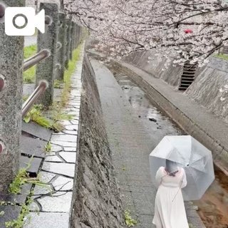 キヨハ(盛岡)のブログ写真