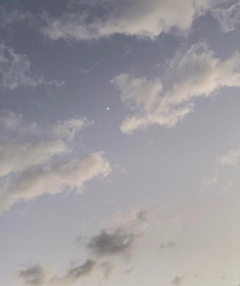 体験アユ(盛岡)のブログ写真