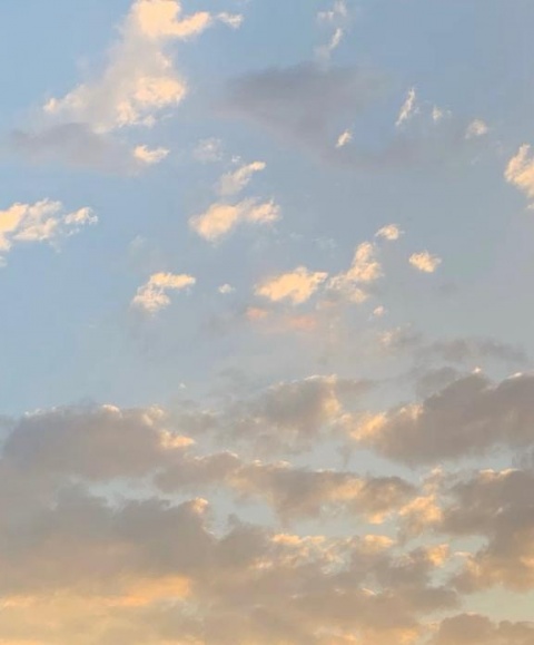 体験アユ(盛岡)のブログ写真