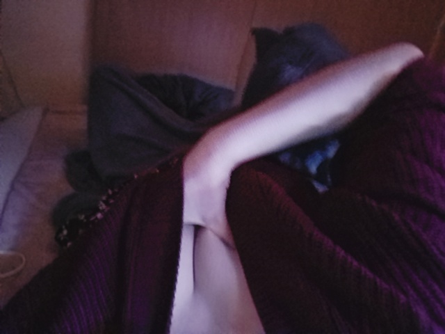 サキ(盛岡)のブログ写真