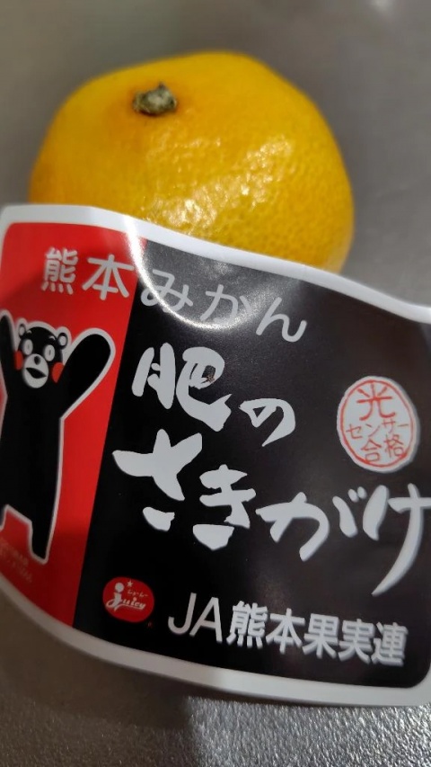 すずかのブログ写真